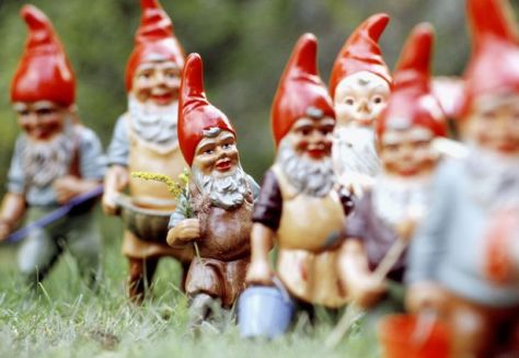 Group-of-garden-gnomes